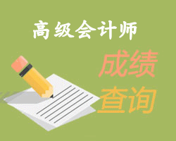 高級(jí)會(huì)計(jì)師成績(jī)查詢(xún)