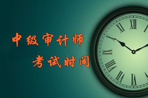 中級(jí)審計(jì)師考試時(shí)間