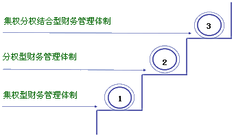 財務(wù)管理體制的一般模式