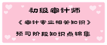 2017年初級(jí)審計(jì)師《審計(jì)專業(yè)相關(guān)知識(shí)》預(yù)習(xí)階段知識(shí)點(diǎn)匯總