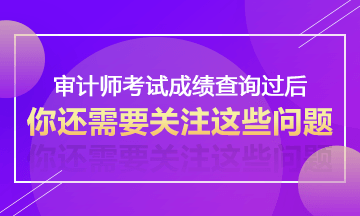 2017年審計(jì)師考試成績(jī)查詢過后不得不關(guān)注的事情—考后資格審核