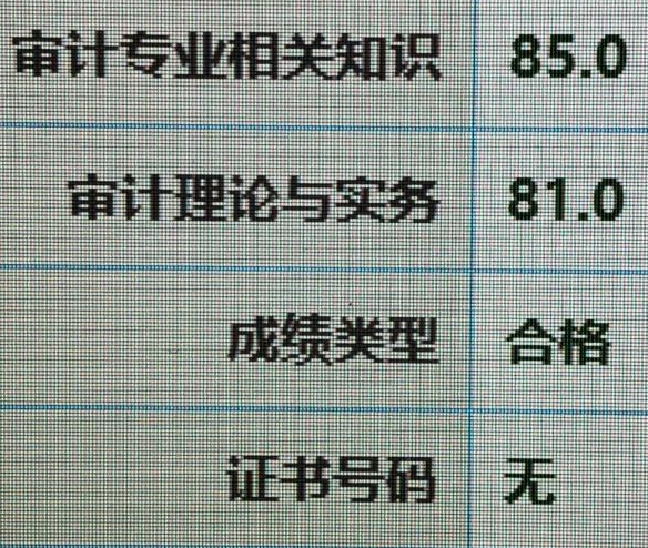 好樣的！零基礎頂住壓力高分拿下審計師