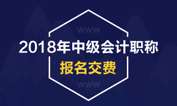 2018年湖南中級會計職稱考試網(wǎng)上繳費及收費標(biāo)準(zhǔn)