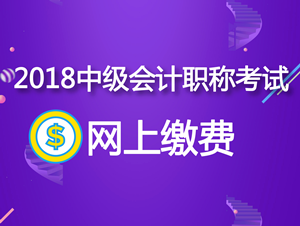 2018年廣西中級會計職稱考試網(wǎng)上繳費每科56元