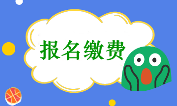 會(huì)計(jì)中級考試報(bào)名收費(fèi)是在網(wǎng)上繳費(fèi)嗎？