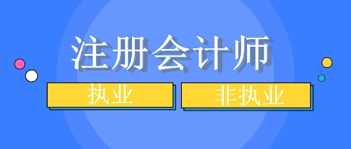 注會執(zhí)業(yè)與非執(zhí)業(yè)