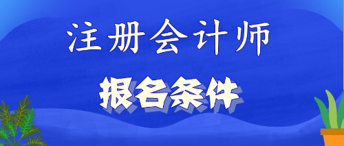 2020年山東?？粕梢詧?bào)考注會(huì)嗎？