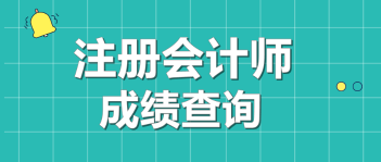 2020年注會(huì)成績(jī)查詢