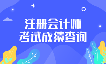 2019年注會考試成績查詢什么時候開始？