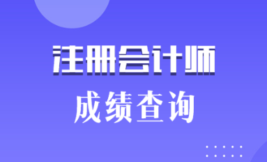 2019陜西銅川注冊(cè)會(huì)計(jì)師成績(jī)查詢時(shí)間