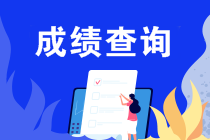 什么條件能申請(qǐng)2019注會(huì)成績(jī)復(fù)核？