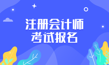 2020年江蘇注冊(cè)會(huì)計(jì)師考試報(bào)名時(shí)間