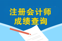 注會(huì)成績(jī)查詢(xún)?nèi)肟谑裁磿r(shí)候開(kāi)通