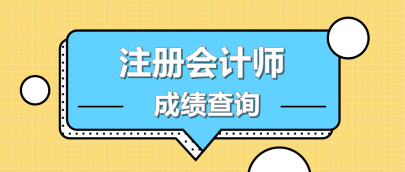 海南2019注會考試成績查詢時間