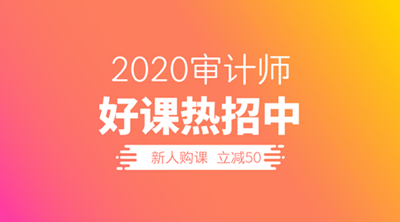 2020審計師招生文案