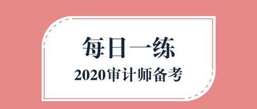 2020審計師備考