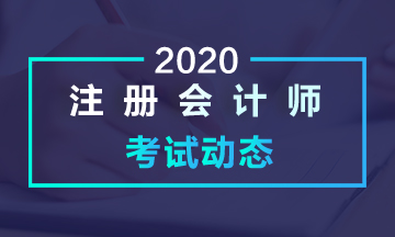 黑龍江2020年注會考試考什么？