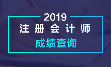 河南洛陽注冊會計師成績查詢