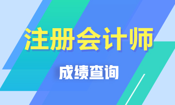 2019cpa考試成績查詢