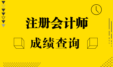 重慶注冊(cè)會(huì)計(jì)師考試可以查成績(jī)啦