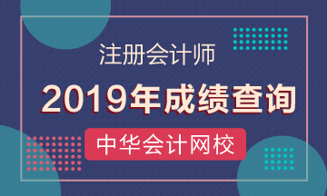 2019年江西景德鎮(zhèn)CPA考試成績(jī)查詢(xún)?nèi)肟陂_(kāi)通了！