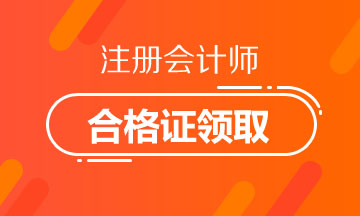 2019年寧夏銀川注冊會計師合格證書領(lǐng)取時間