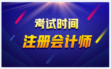 2020注冊會計師什么時候考試？