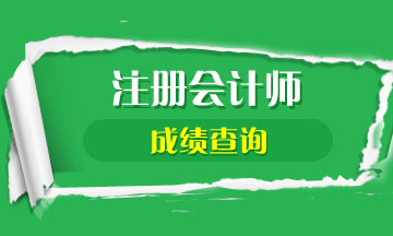 廣東深圳2019年注冊會計師成績查詢