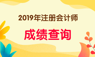 2019海南注冊會計師成績什么時間出？