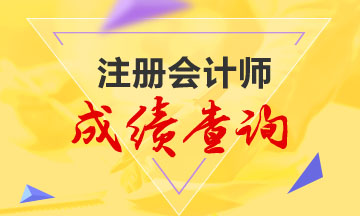 福建2019年注會成績已開通！