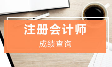 云南2019年注冊會計師官網(wǎng)成績查詢?nèi)肟陂_通了