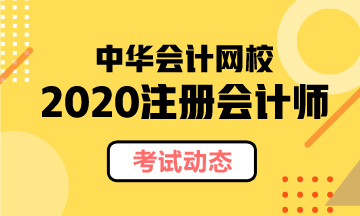 河北2020年cpa綜合什么時候考試？