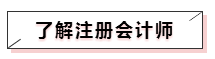 了解注冊會計師