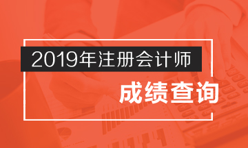 湖北2019年注冊(cè)會(huì)計(jì)師成績(jī)查詢