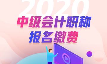 2020年安徽合肥中級會計(jì)職稱報(bào)名流程