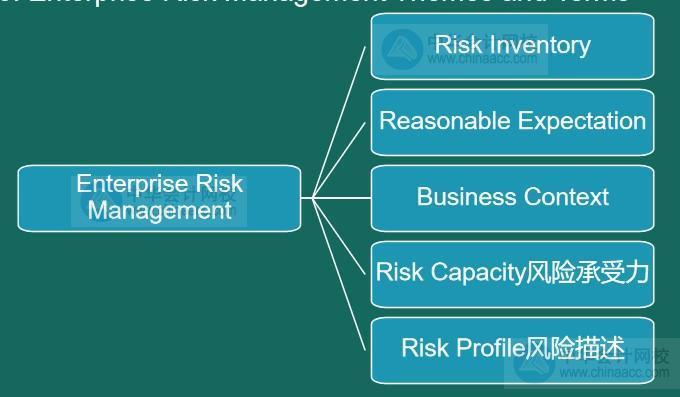 AICPA知識點：企業(yè)風險管理Themes and Terms