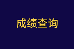 2020中級審計師成績查詢