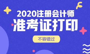 2020年cpa準考證打印時間