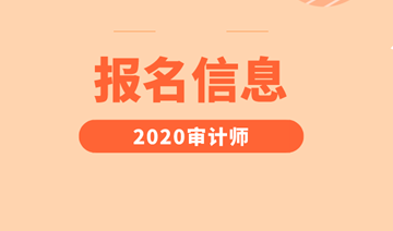 初級審計師報名信息