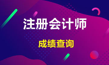 河南2020年CPA考試成績查詢時(shí)間是什么時(shí)候？