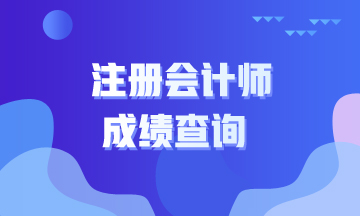 2020年江西注冊會計師成績查詢網址8