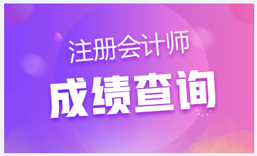 2020年黑龍江注冊會(huì)計(jì)師成績查詢時(shí)間來嘍！