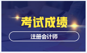 2020年湖北注冊會計(jì)師考試成績查詢時間