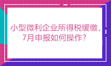 小型微利企業(yè)所得稅緩繳，7月申報如何操作？看這里！