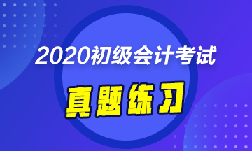 甘肅2020年初級(jí)會(huì)計(jì)考試《經(jīng)濟(jì)法基礎(chǔ)》練習(xí)題庫及答案