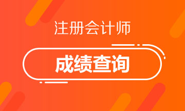 遼寧2020年注冊(cè)會(huì)計(jì)師考試成績(jī)查詢(xún)你了解嗎！