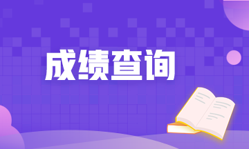 廣西2020年高級(jí)經(jīng)濟(jì)師成績(jī)查詢網(wǎng)址？查詢時(shí)間？