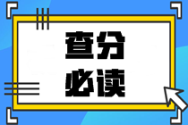 2020中級(jí)會(huì)計(jì)職稱查分總攻略：查分前中后都得注意點(diǎn)啥？