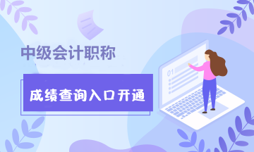 甘肅隴南2020年中級(jí)會(huì)計(jì)師考試成績(jī)查詢(xún)?nèi)肟陂_(kāi)通！