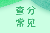 安徽2020會(huì)計(jì)中級(jí)成績(jī)查詢(xún)?nèi)肟诠倬W(wǎng)開(kāi)通了嗎？